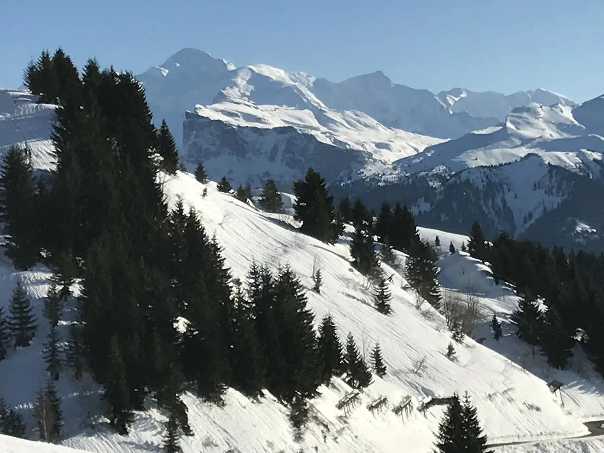 Residence Les Chardons Argentes Samoens Apartment